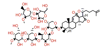 Holotoxin A